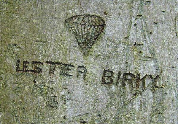 Lester Birky Carving
