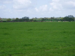 RAF Calveley Seagull Trench