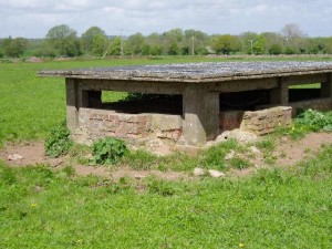 RAF Calveley Seagull Trench