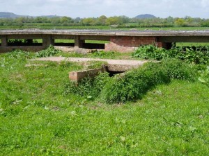 RAF Calveley Seagull Trench