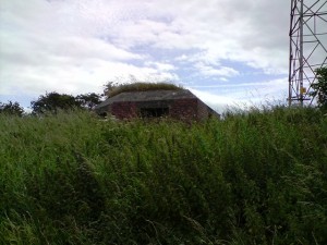 RAF Sealand Type 27