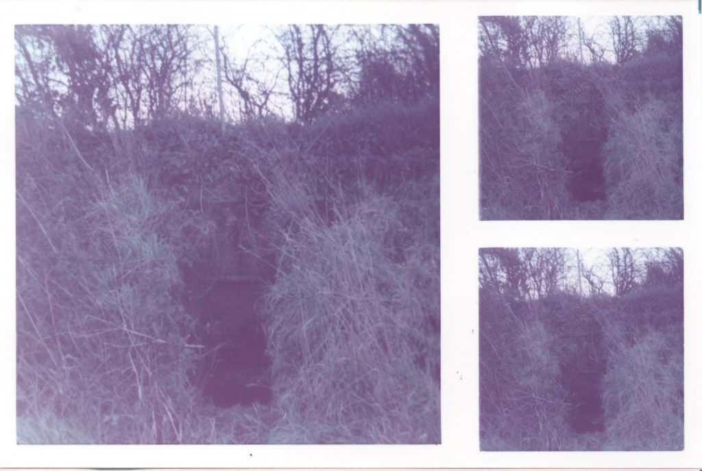 S0012876 Pillbox, Everton, SW of Lymington.