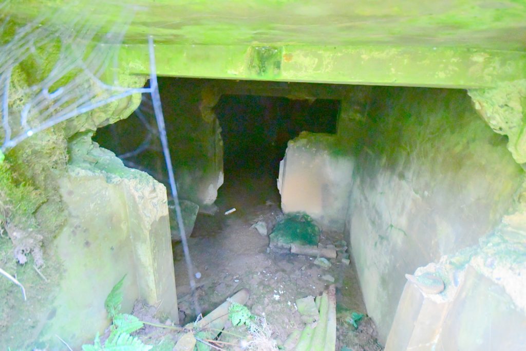 Clestrain Battery. Coast Artillery Battery: S0015234 WWI