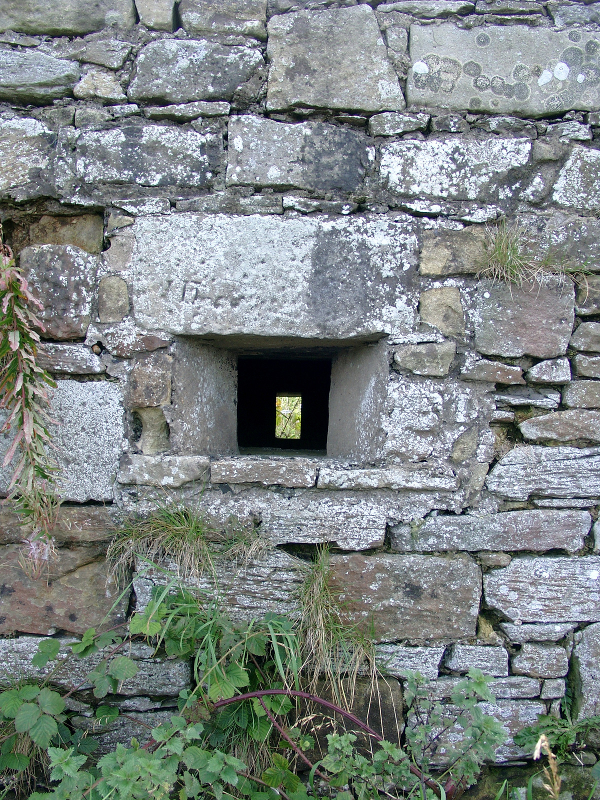 Warkworth Camouflaged Pillbox