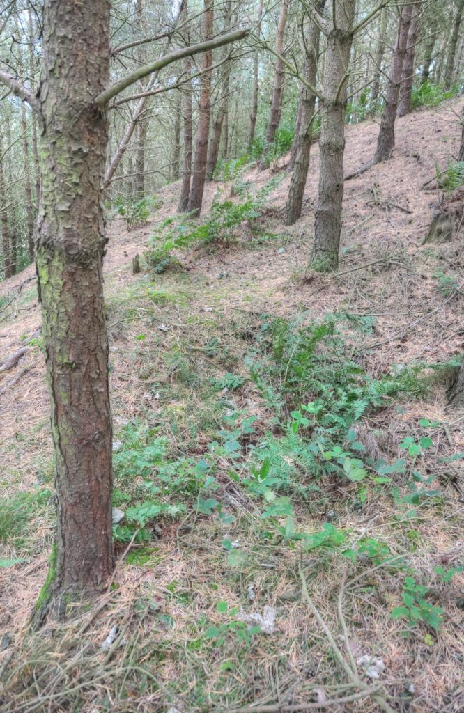 Fire Trench, Harlow Hill. RAF Ouston e33137