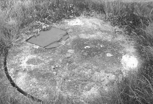 Picket-Hamilton Fort in closed position