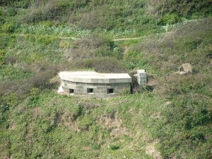 porthcurnog