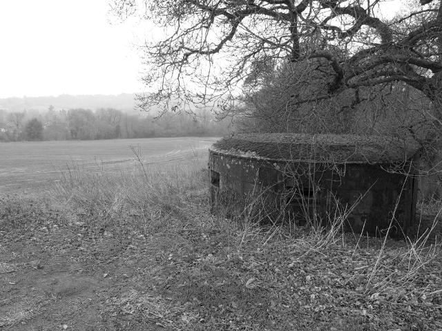 D Shaped Mowlem overlooking fields from edge of woodland. 