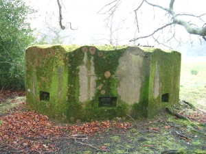 The well known 8 Sided pillbox that features in Henry Wills Pillboxes book. Junction of Furze Rd Pirbright, Surrey.
