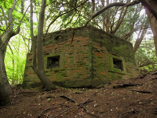 Head on view showing the pillboxes prominent postion at edge of slope.